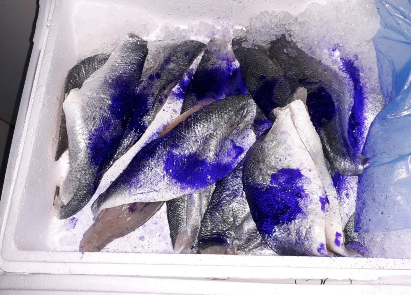 Ryby na modro? Ne to je jen barva, kterou veterináři používají na obarvení závadných a nebezpečných potravin. Zdroj Státní veterinární správa