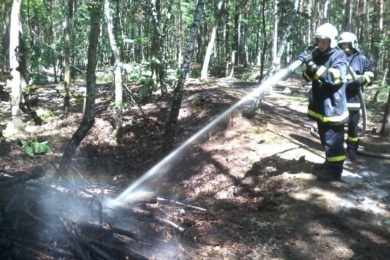 Klánovičtí doborovolní hasiči běžně zasahují v terénu. Foto Zdroj SDH Klánovice