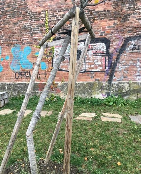 Vandal ničí stromy v Praze 2