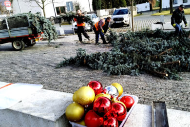 Na Slivenci  likvidovali  i  místní vánoční strom před školou , i  tam vse vše využije... Foto Ivan Kuptík