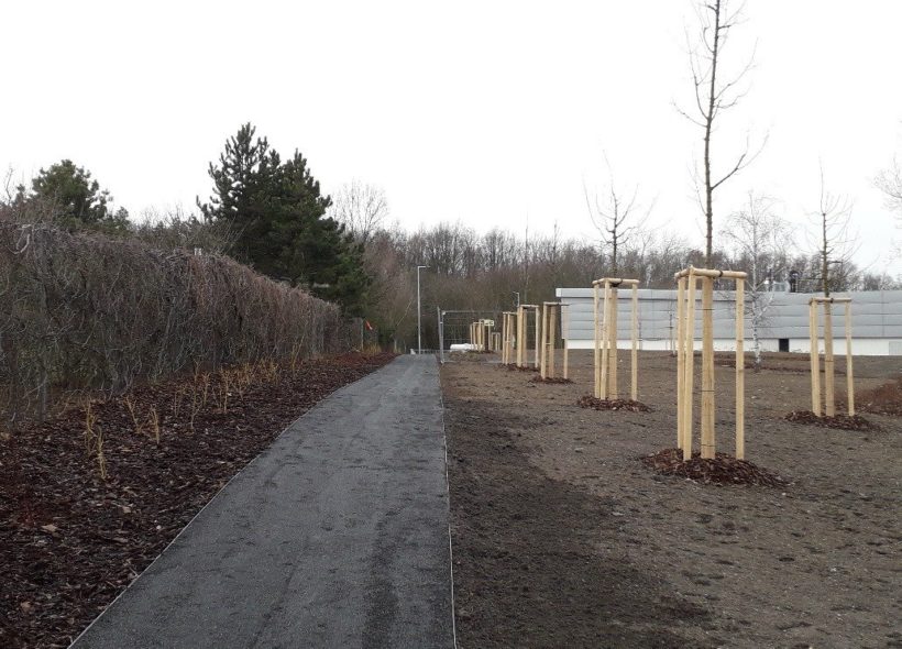 Zeleň kolem nové prodejny v Horních Měcholupích