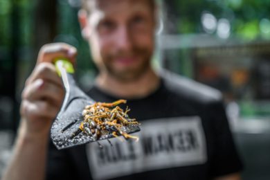 Během Víkendu hmyzožravců v Zoo Praha můžete ochutnat a zakoupit nejrůznější hmyzí pokrmy.