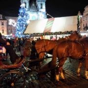 Tradiční pražský fiakr končí. Alespoň tak rozhodli radní na magistrátu. Celkem 70 koní půjde na jatka, hrozí se majitelé. 