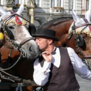 Pražští fiakristé své koně milují. Teď budou muset své koně kvůli magistrátu prodat. Půjdou s největší pravděpodobností na jatka. 
