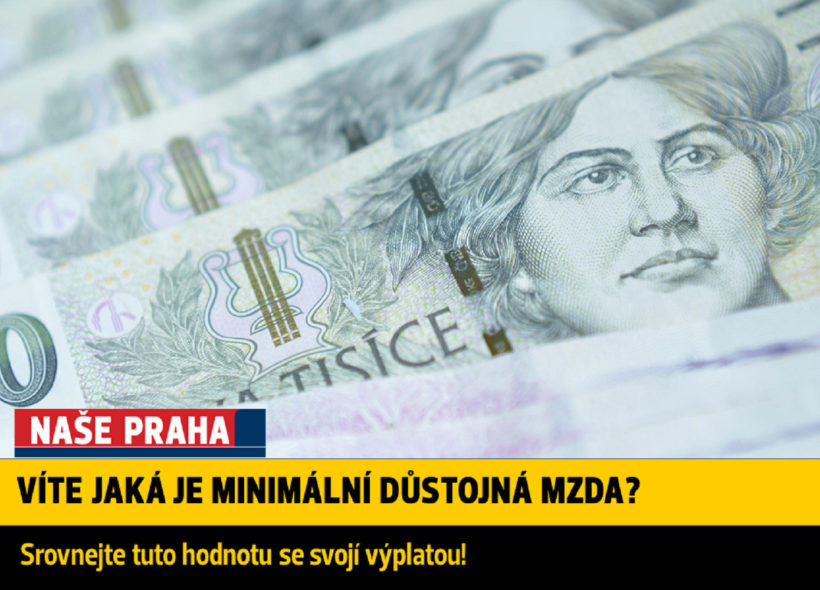 Minimální důstojná mzda