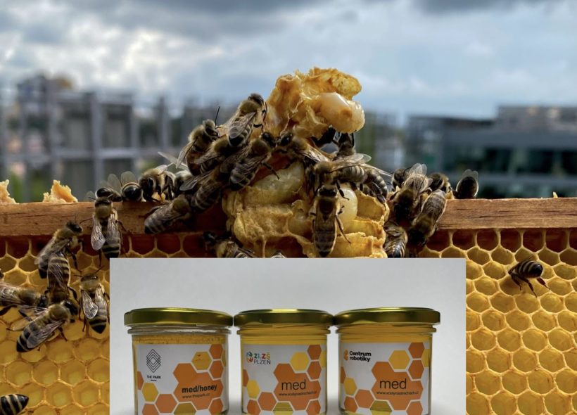 Med od pražských včel patří mezi nejkvalitnější. 