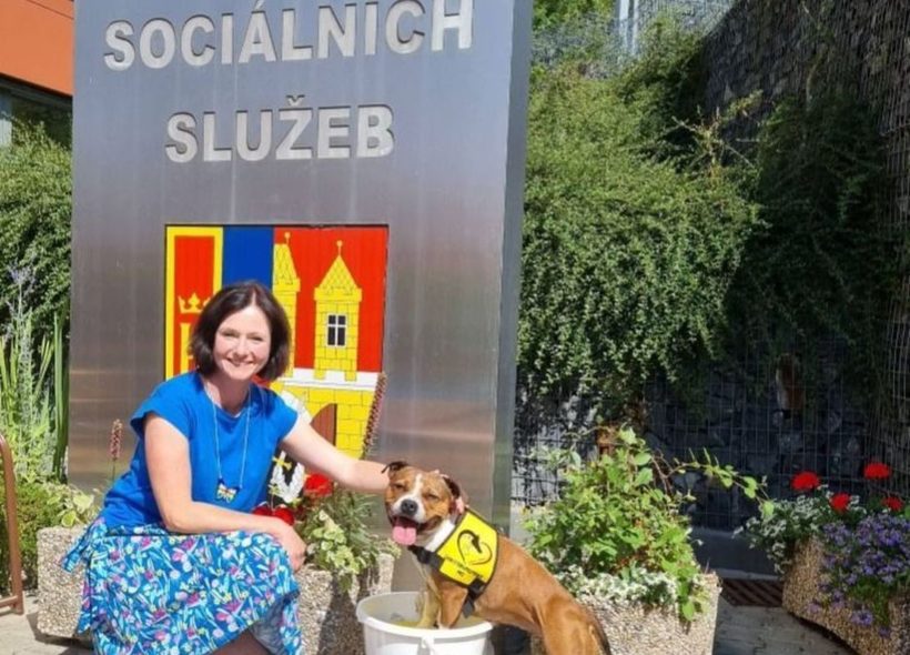 V Domě sociálních služeb S. K. Neumanna je oblíbenou volnočasovou činnosti canisterapie, což je léčebný kontakt psa a člověka. 