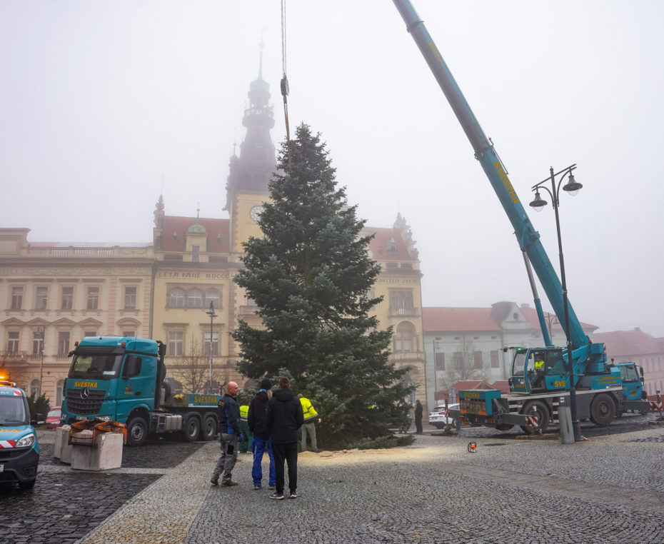 Umístění vánočního stromu z Rozdělova.