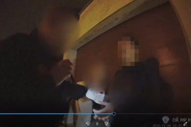 Screenshot z videa zadržení muže, který se pokoušel uplatit strážníky