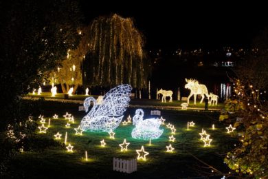 K Vánocům neodmyslitelně patří pěkná výzdoba a světla. 