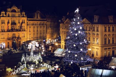 Hledá se strom pro pro Staroměstské náměstí na letošní Vánoce.