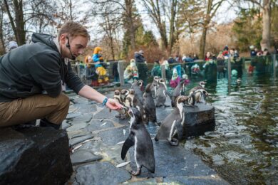 Součástí slavnostního programu budou i mimořádná setkání u zvířat. V 10.30 hodin proběhne oblíbené krmení tučňáků Humboldtových. 
