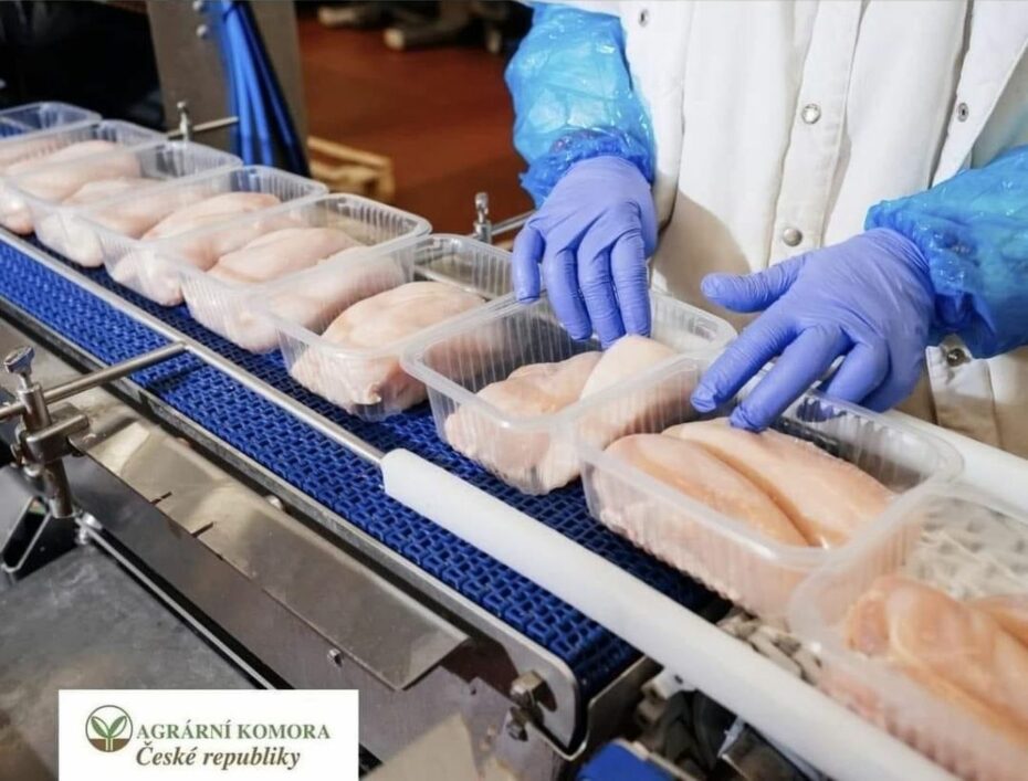 S varování před toxickými dovozy potravin z Ukrajiny přispěchala i Agrární komora. Toxická jsou vajíčka a kuřecí maso. 