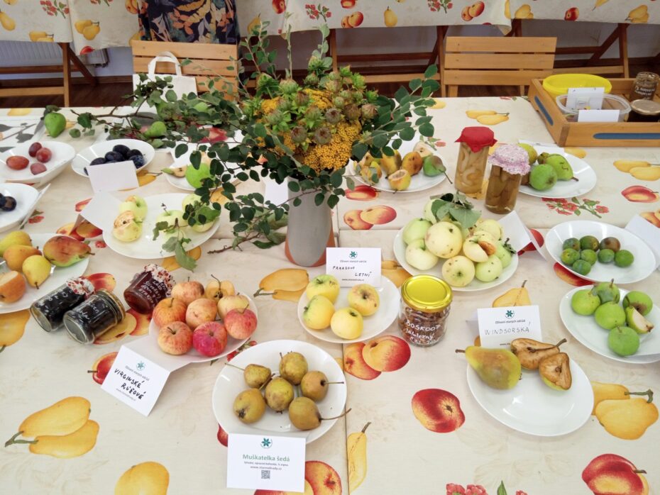 Ochutnávkový stůl na výstavě starých odrůd.