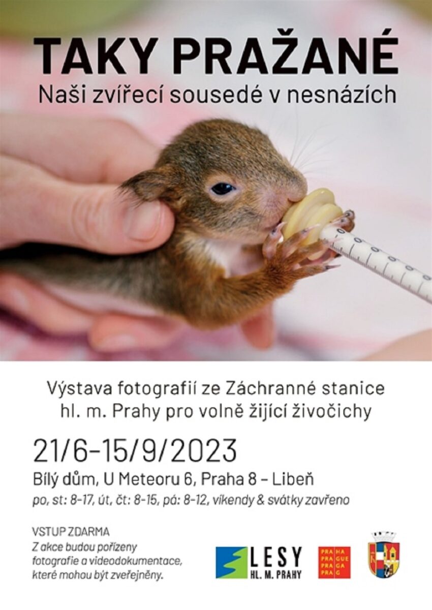 Fotografická výstava Taky Pražané - naši sousedé v nesnázích potrvá až do 15. září.