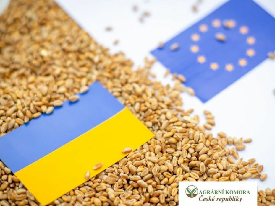 Agrární komora dlouhodobě kritizuje EU za její benevolentní přístup k otráveným potravinám z Ukrajiny. Podle některých komentátorů za ním stojí lobbying amerických investičních fondů, kteří ukrajinské zemědělství ovládly. 