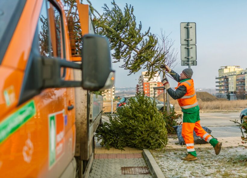 U veřejně přístupných popelnic na směsný odpad odkládejte stromečky volně vedle nich. V ostatních případech vyhazujte vánoční stromky k nejbližším barevným kontejnerům na tříděný odpad. 