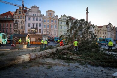 V neděli 7. ledna ráno začali zaměstnanci Technologií hlavního města Prahy (THMP) s odstrojováním a deinstalací vánočního stromu na Staroměstském náměstí. 