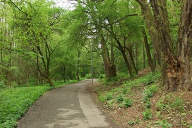 Pražský přírodní park Hostivař-Záběhlice.