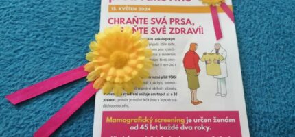 V Česku se koná už 28. ročník Květinového dne. Veřejnost tak přispívá na léčbu onkologických pacientů. 