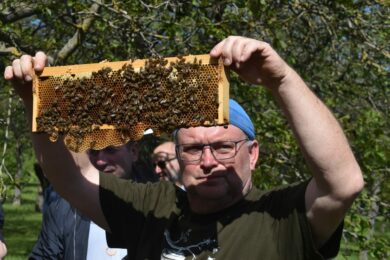 Datum 20. května slaví včelaři jako Světový den včel.