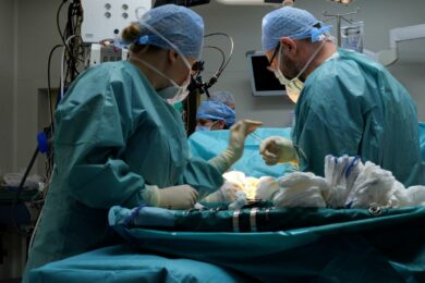 Lékaři a sestry z Kliniky transplantační chirurgie IKEM provedli historicky první transplantaci břišní stěny a všech orgánů dutiny břišní od rozdílných zemřelých dárců.