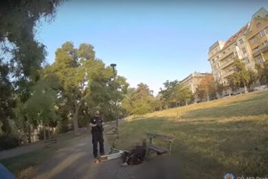 Strážníci zpacifikovali zdrogovanou a psychicky nemocnou 32letou ženu v Bezručových sadech v Praze 10.