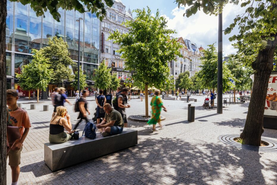 Výstupy projektu nastiňují budoucí nároky do roku 2050 v osmi klíčových oblastech, tj. ve školství, zdravotních a sociálních službách, pohřbívání, obchodu, rekreaci, kultuře nebo sportu. 