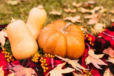 Letošní výstava je inspirována oslavami Día de los Muertos, tradičním mexickým svátkem, který ctí památku zesnulých a oslavuje život. 