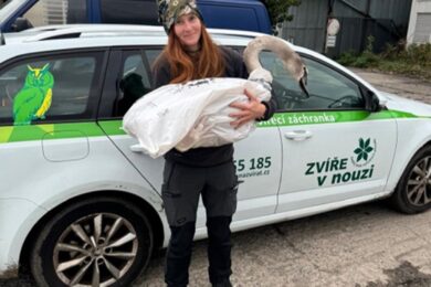 Zvířecí záchranka věří, že díky dárcům bude moci i nadále zachraňovat zvířata v nouzi.