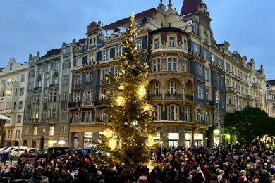 I letos se rozsvítí vánoční strom na Strossmayerově náměstí.