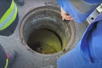 Třiasedmdesátiletá majitelka psa Dona zažila na Silvestra noční můru. Její pes utekl po výbuchu petardy a zmizel beze stopy. Díky pohotovému muži a spolupráci strážníků, hasičů a pracovníků vodovodů však příběh skončil šťastně.