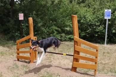Agility park nabídne psům možnost rozvíjet fyzickou kondici, poslušnost i sociální dovednosti. Dokončení všech prací je naplánováno do 31. října.