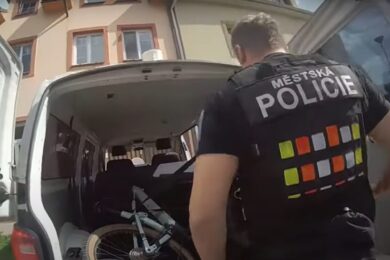Strážníci zajistili převoz kola prostřednictvím transportního vozidla a následně ho předali alergika.
