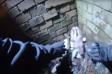 Zoufalé kvičení vycházelo z nezabezpečeného kanálu, kde se krčilo malé vyděšené divoké prase, zřejmě mládě divočáka, které do otvoru spadlo a nebylo schopné se dostat ven.
