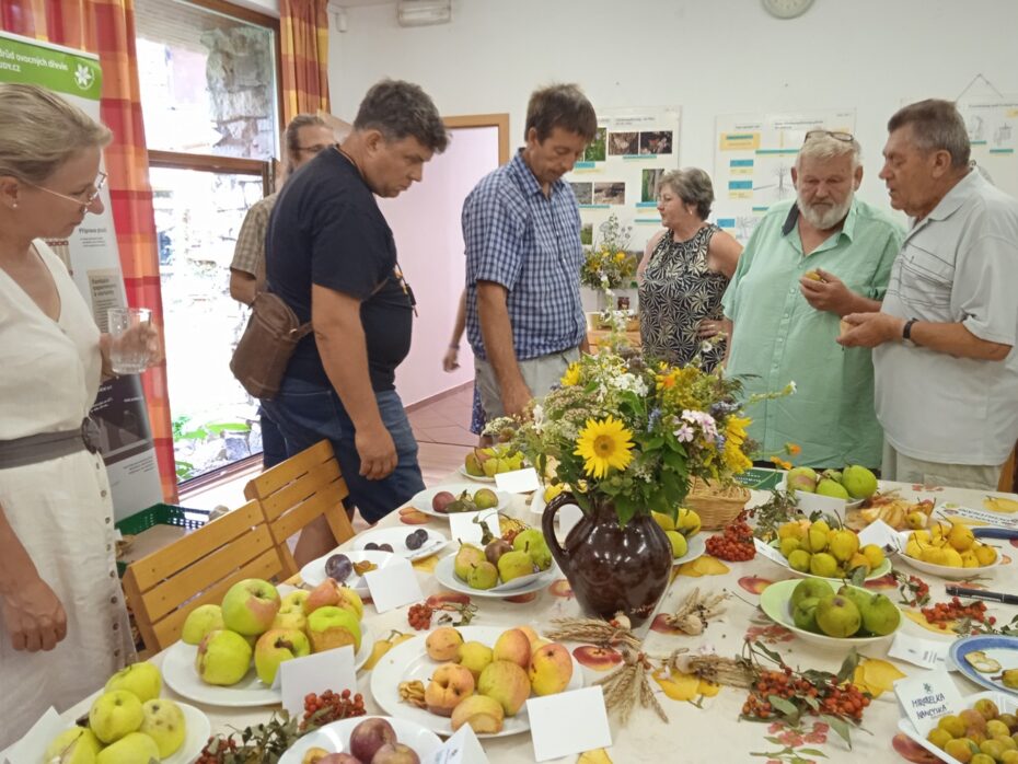 Sobotní dopoledne bude patřit slivoním.