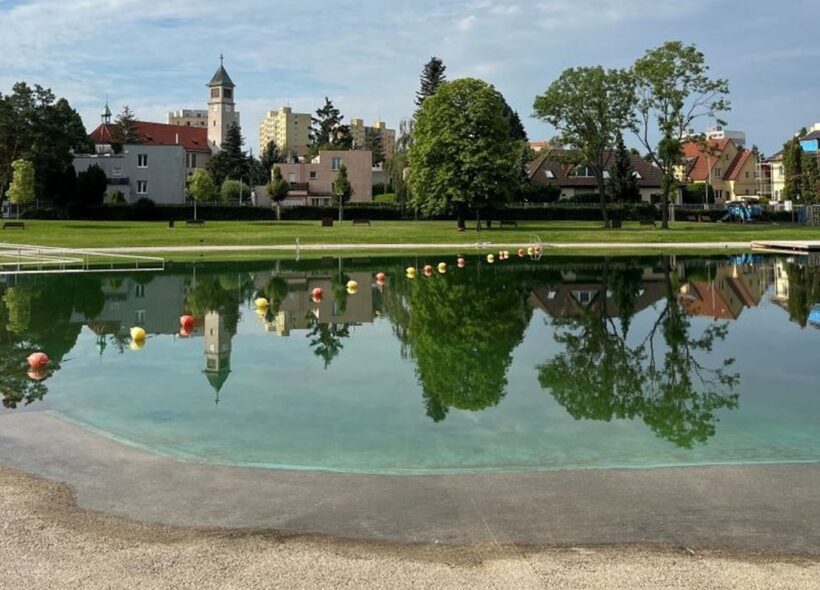 Na koupaliště na Lhotce se o čistotu vody starají přírodní procesy a čistící schopnosti bakterií a rostlin.