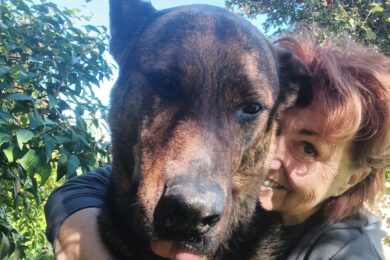 Emilia Baco se svým psem Conanem – z někdejšího ‚zabijáka‘ se stal něžný obr, dárce krve a pomocník při rehabilitaci traumatizovaných psů.
