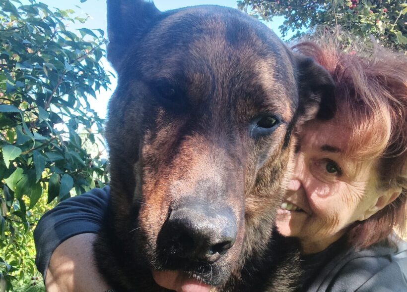 Emilia Baco se svým psem Conanem – z někdejšího ‚zabijáka‘ se stal něžný obr, dárce krve a pomocník při rehabilitaci traumatizovaných psů.