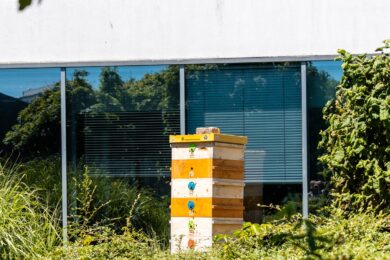 Jeden z včelích úlů na Brumlovce v Praze 4.