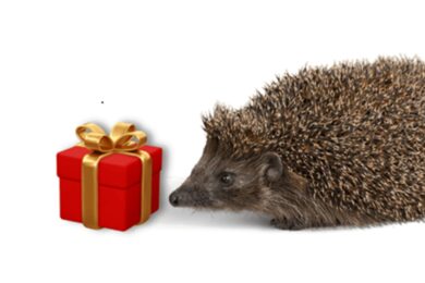 Nová kampaň Ježíšek pro přírodu zve všechny, aby místo předvánočního shonu a materiálních dárků darovali pomoc zvířatům, krajině i budoucím generacím. 