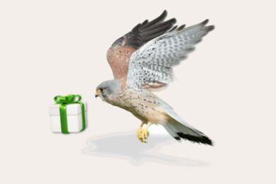 Český svaz ochránců přírody prodlužuje úspěšnou vánoční darovací výzvu Ježíšek pro přírodu až do konce roku. 