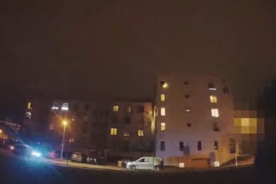 Hlídka městské policie z Prahy 5 zasahovala v parku mezi ulicemi Elišky Přemyslovny a Pirnerova u agresivního, silně opilého muže se psem.