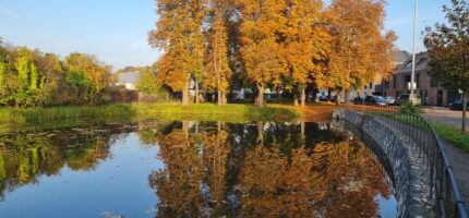 Základní myšlenkou projektu je vrátit Butovické návsi její komunitní charakter a udělat z rybníka skutečný středobod celé lokality.