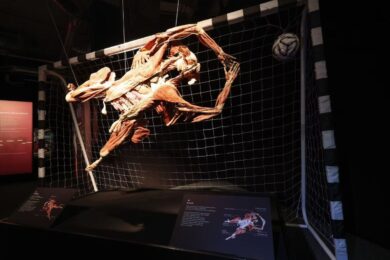 Výstava zachycuje lidské tělo například při sportování. 