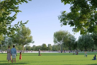 Na Letenské pláni přibude celkem 61 stromů, převážně ve velikosti kmene 20–25 cm. 