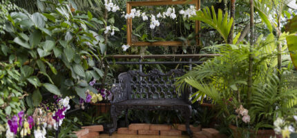 Můžete si i posedět a nechat se okouzlit vůní květin.