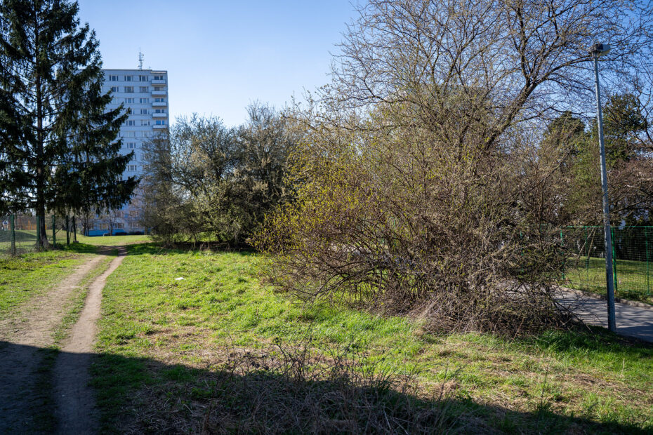 Zatímco ve Strakonicích městská zeleň působí jako pečlivě udržovaný prvek veřejného prostoru, v Praze 10 se často omezuje na základní údržbu mezi bytovými domy. Kontrast ukazuje, jak rozdílně mohou města přistupovat k péči o své zelené plochy.