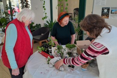 Výměna sazeniček patří mezi oblíbené akce.