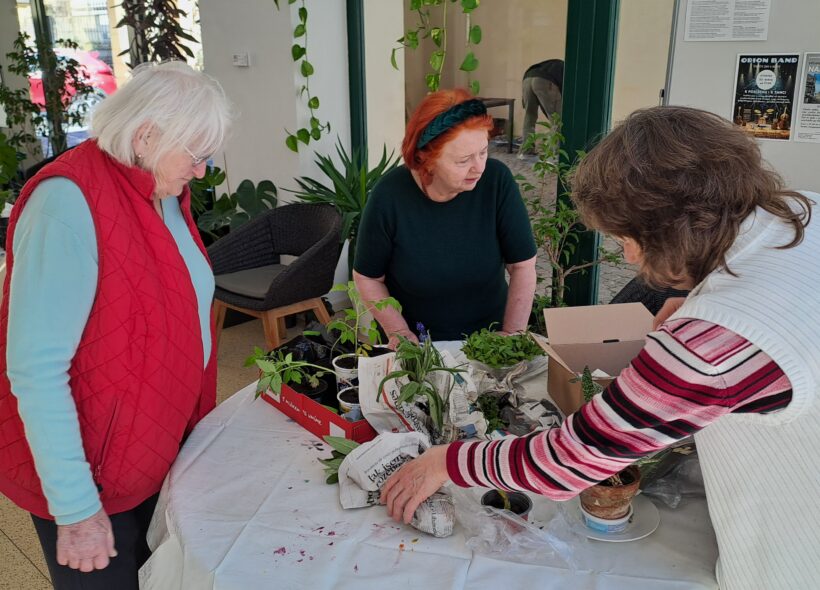 Výměna sazeniček patří mezi oblíbené akce.